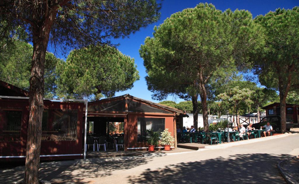Complejo Turistico & Camping Cabopino マルベーリャ エクステリア 写真